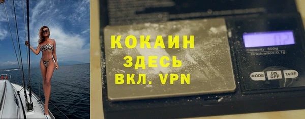 стаф Волосово