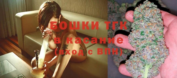 стаф Волосово