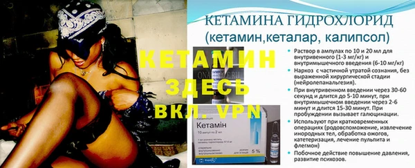 стаф Волосово