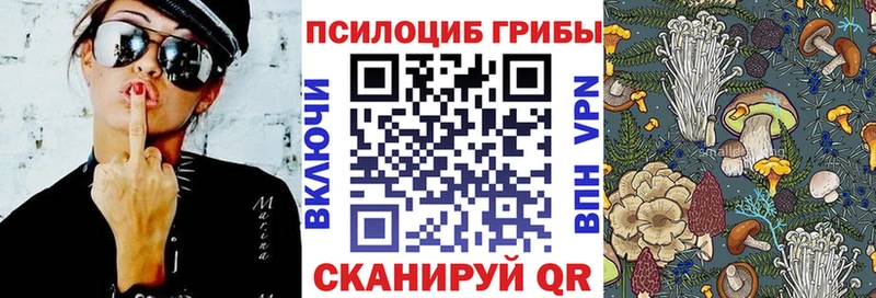 Галлюциногенные грибы Magic Shrooms  Подпорожье 